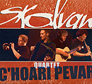 Skolvan 2010